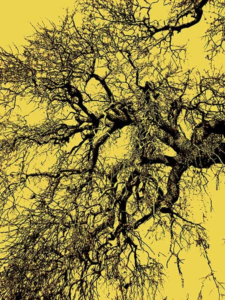 ������ � ���������, ������������ ��������
---------
 (�������� �� �����������, ����� ������� ��� � ������ �����)