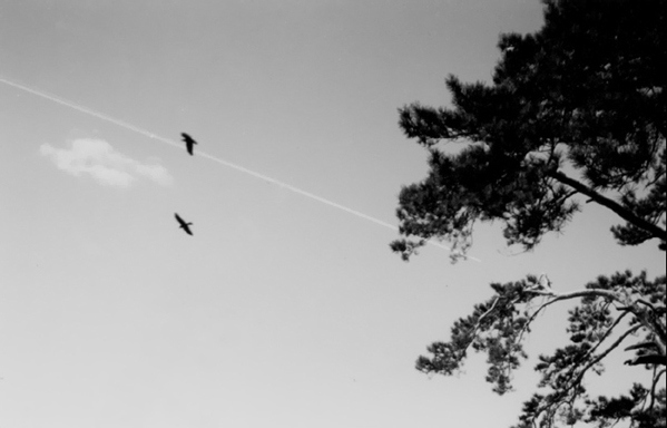 #13
---------
 (  ,      )