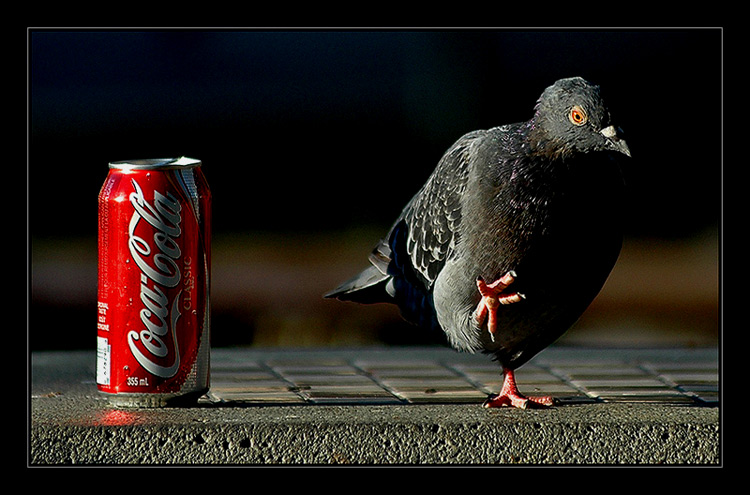 COCA-COLA
---------
 (  ,      )