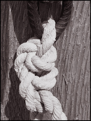 knot
---------
 (  ,      )