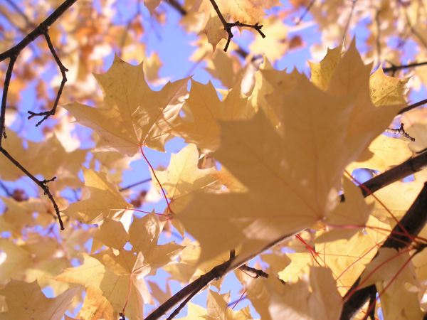 
---------
 (  ,      )