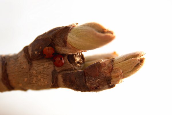 ��� �������.��� �����.��� �����.
---------
 (�������� �� �����������, ����� ������� ��� � ������ �����)