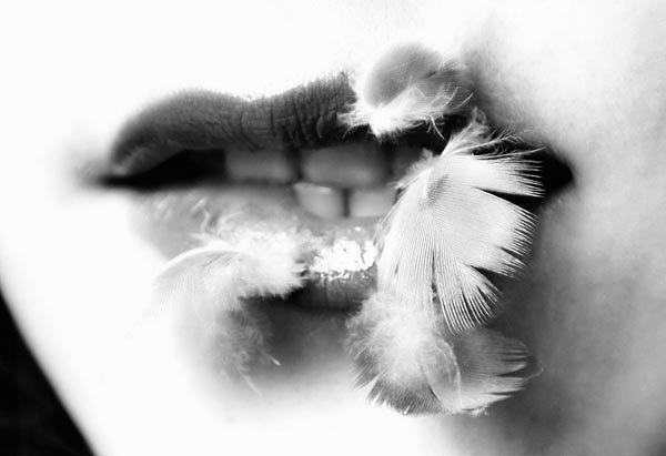 lips_1
---------
 (  ,      )