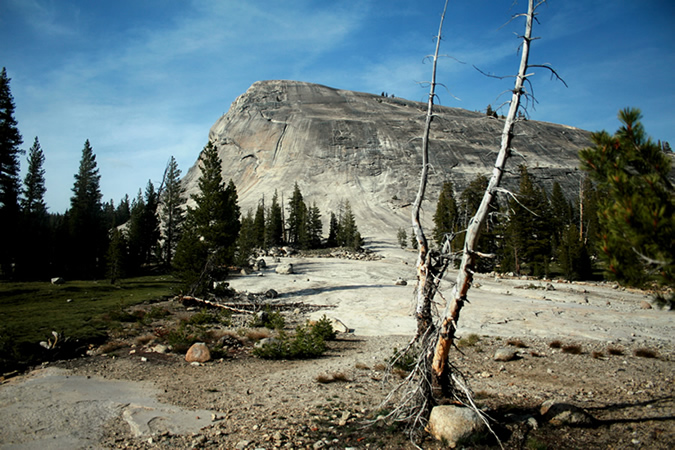 Yosemite National Park
---------
 (  ,      )