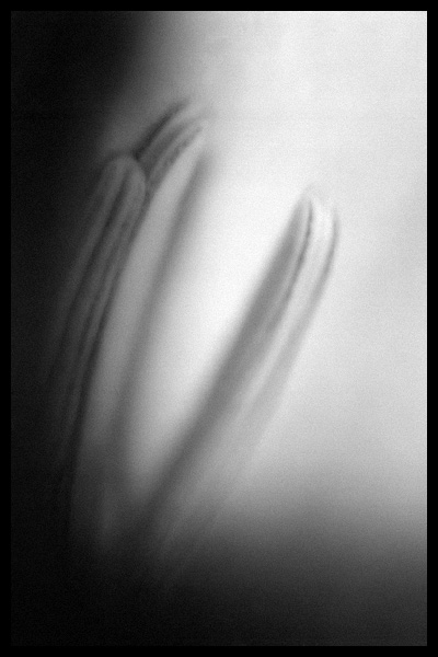 * *
---------
 (  ,      )