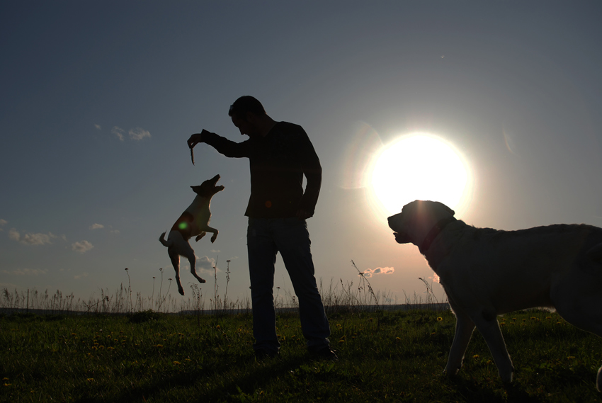 ...
---------
 (  ,      )