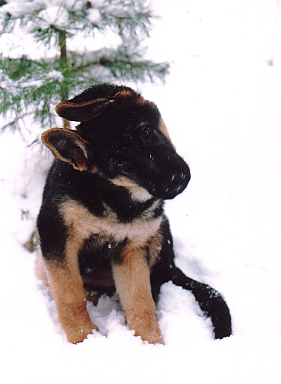  
---------
 (  ,      )