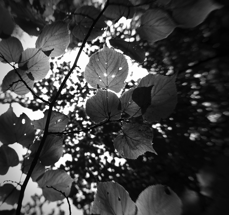 *
---------
 (  ,      )