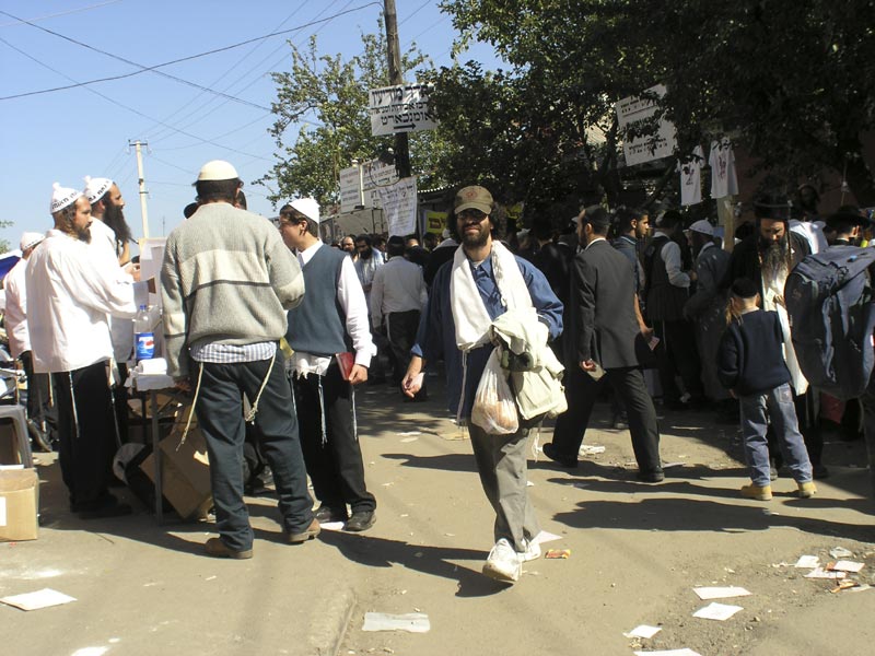 ###
---------
 (  ,      )