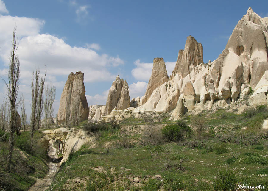  3
---------
 (  ,      )