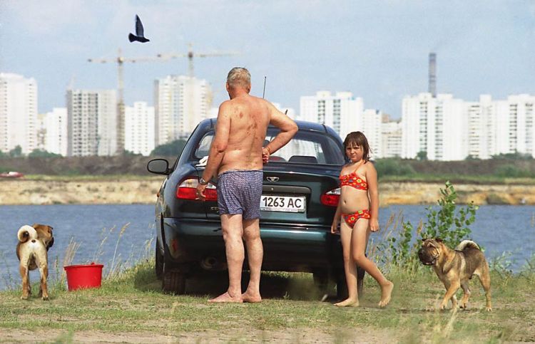 Две собаки, красное ведро и летящая птица
---------
 (кликните по изображению, чтобы открыть его в полный экран)