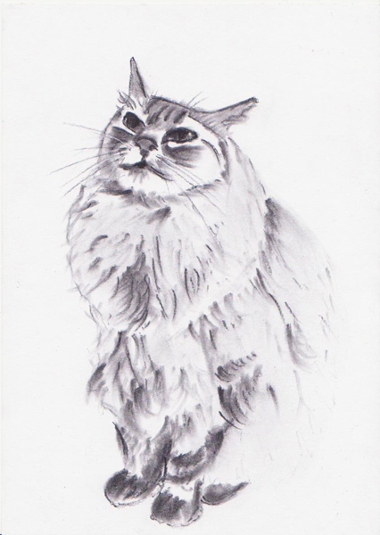 
---------
 (  ,      )