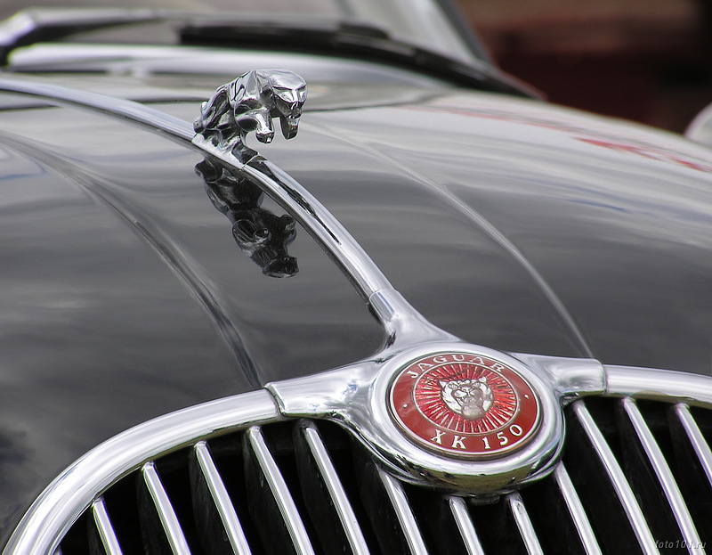 Jaguar XK150 (1)
---------
 (  ,      )