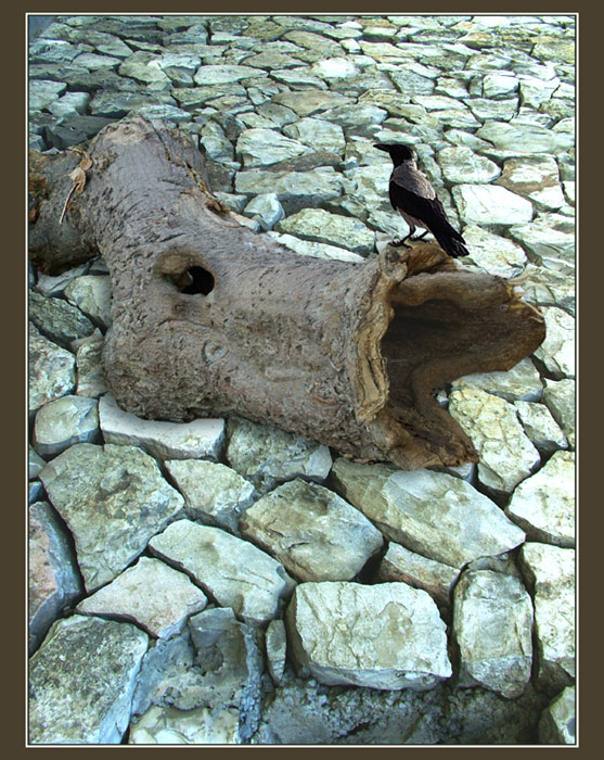 ����� �������� ����....
---------
 (�������� �� �����������, ����� ������� ��� � ������ �����)