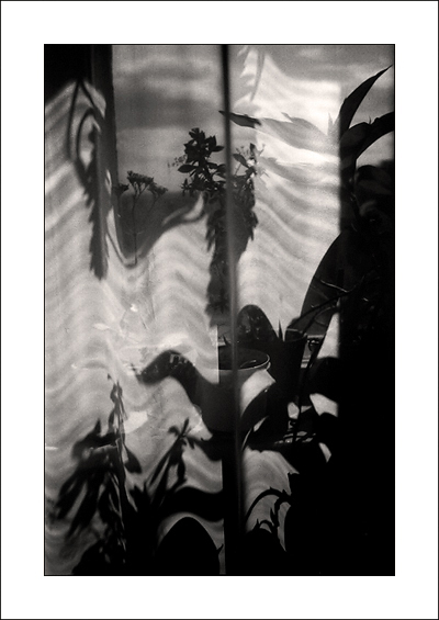 ................ #2
---------
 (  ,      )