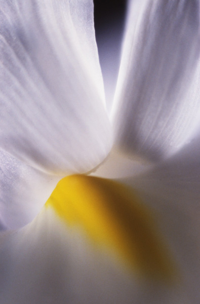 �������-11
---------
 (�������� �� �����������, ����� ������� ��� � ������ �����)