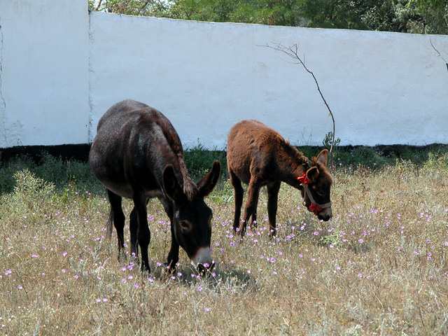 �������� ������
---------
 (�������� �� �����������, ����� ������� ��� � ������ �����)