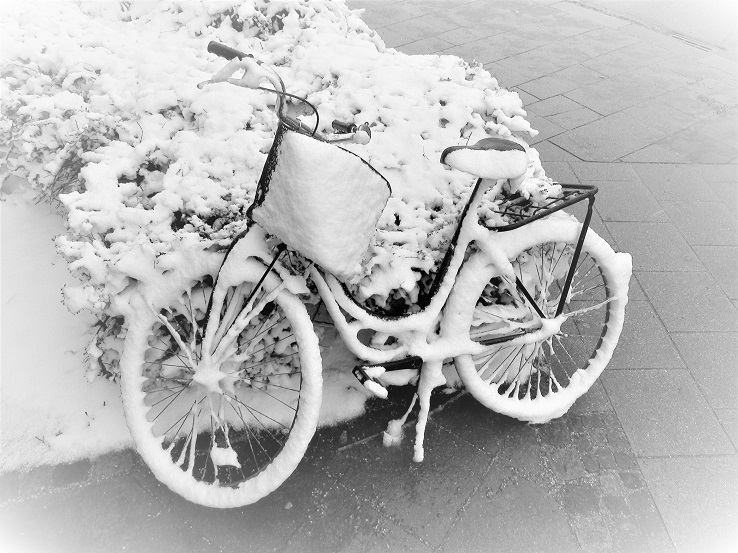 frozen bike
---------
 (  ,      )