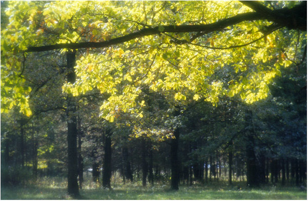 ������� ����
---------
 (�������� �� �����������, ����� ������� ��� � ������ �����)