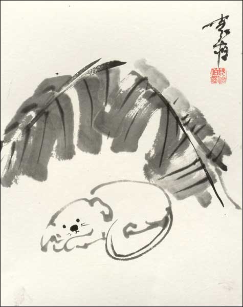 Bad Dog
---------
 (  ,      )