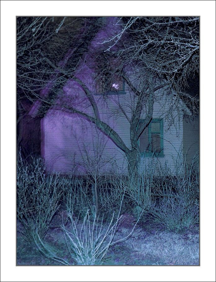 Ghost House #2
---------
 (  ,      )