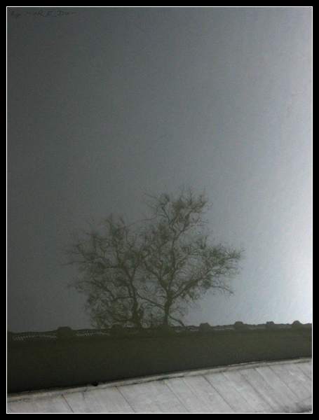 the way of idea
---------
 (  ,      )