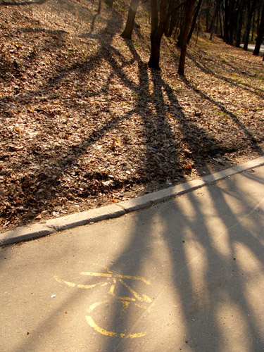 bike & trees
---------
 (  ,      )