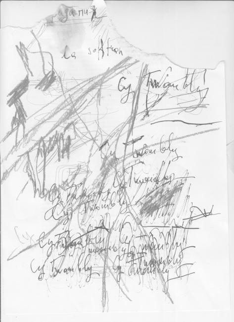 Cy Twombly
---------
 (  ,      )