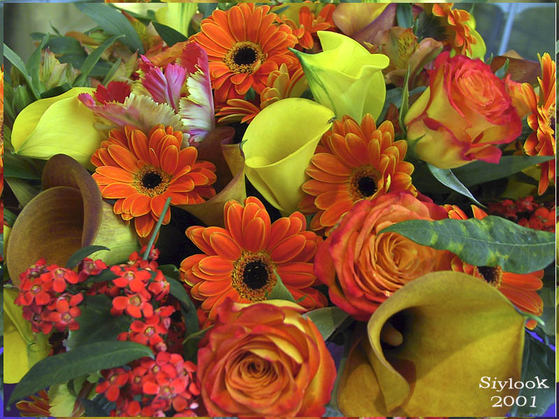 �����
---------
 (�������� �� �����������, ����� ������� ��� � ������ �����)