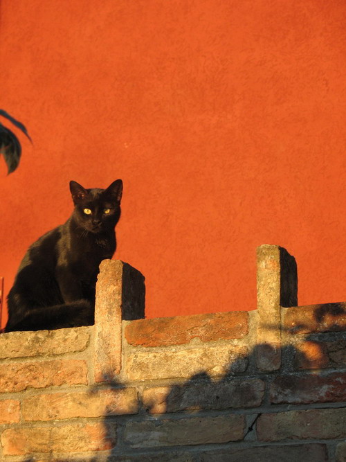   "  " ( ,  , 2007 .)
---------
 (  ,      )