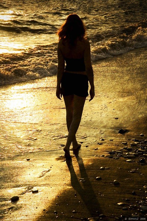 Golden Sea
---------
 (  ,      )