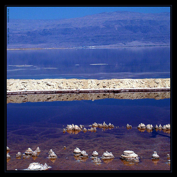 DEAD SEA
---------
 (  ,      )