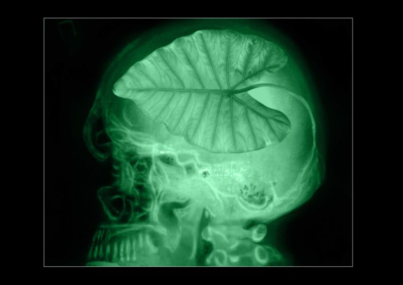 
---------
 (  ,      )