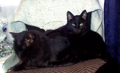   -4
---------
 (  ,      )