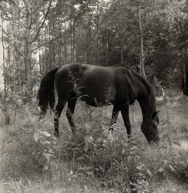 ,    
---------
 (  ,      )