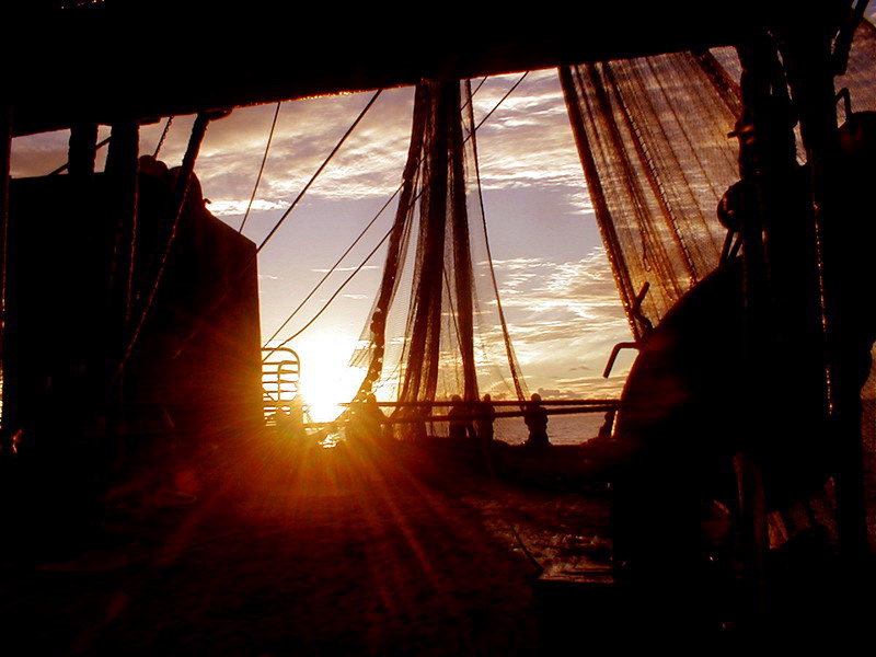  
---------
 (  ,      )