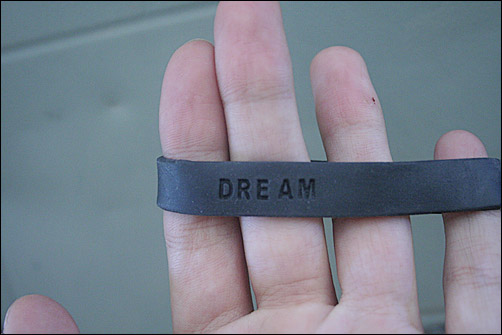 Dream
---------
 (  ,      )