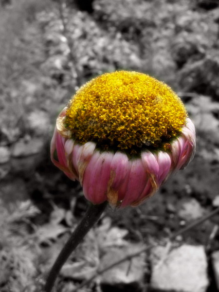  
---------
 (  ,      )