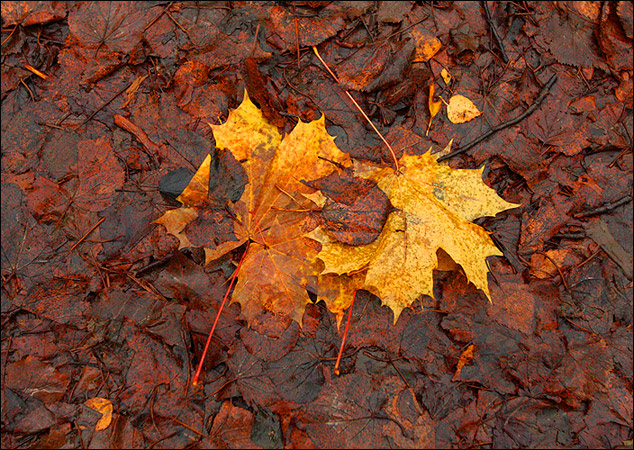  ...
---------
 (  ,      )