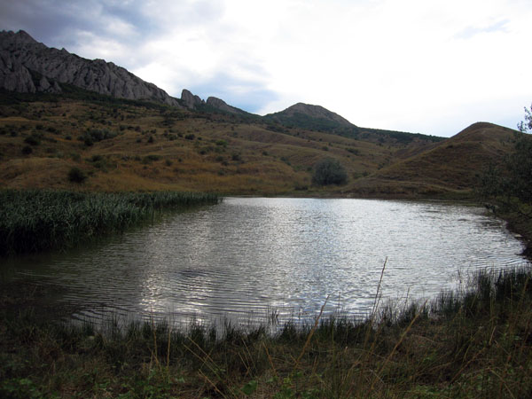 
---------
 (  ,      )