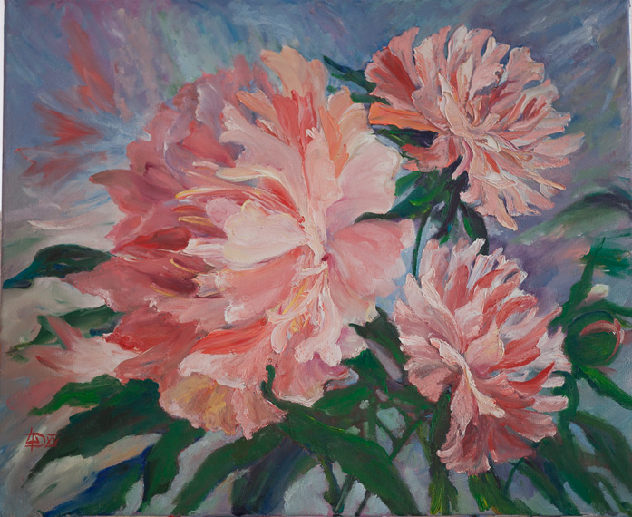 Peony
---------
 (  ,      )