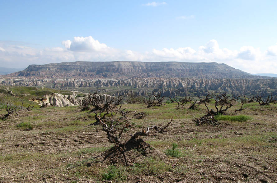   3
---------
 (  ,      )