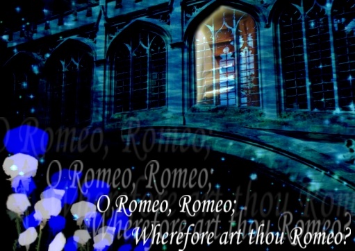 Shakespeare's Romeo&Juliet
---------
 (  ,      )