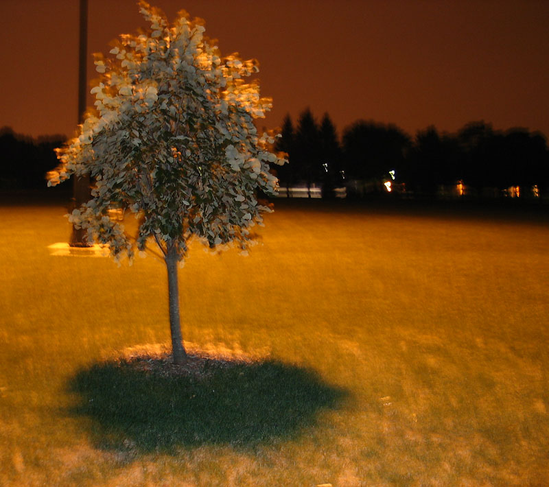 ������� �����
---------
 (�������� �� �����������, ����� ������� ��� � ������ �����)