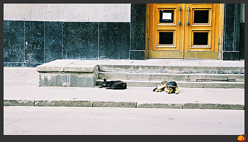 
---------
 (  ,      )