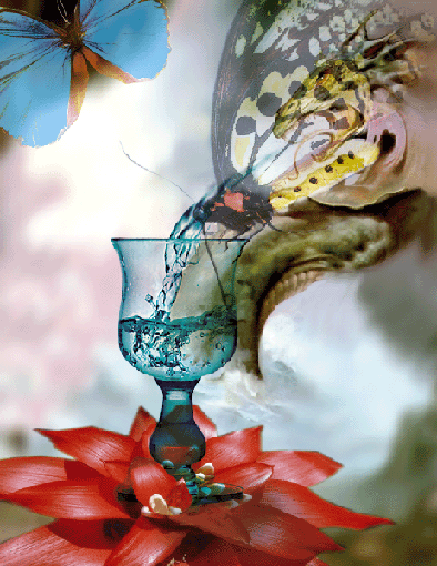 �������
---------
 (�������� �� �����������, ����� ������� ��� � ������ �����)