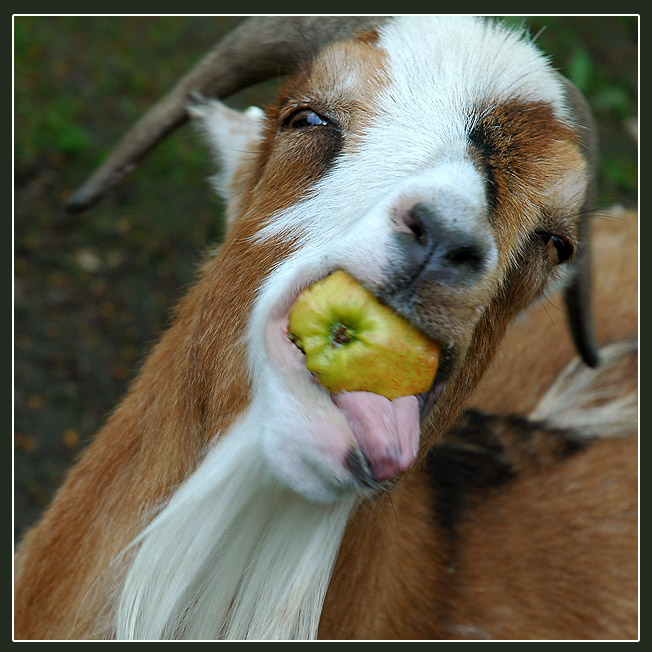 �� ��������� ������ ������� � ������ ����
---------
 (�������� �� �����������, ����� ������� ��� � ������ �����)