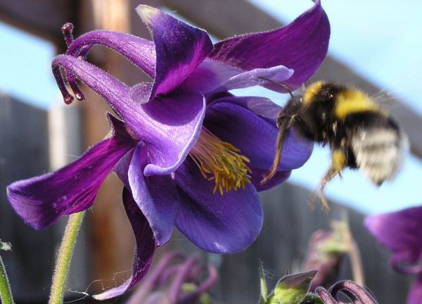  
---------
 (  ,      )