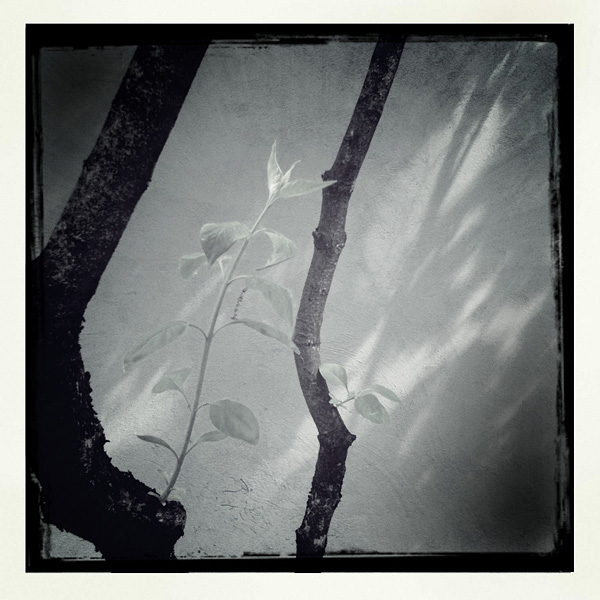 Polaroids #224
---------
 (  ,      )