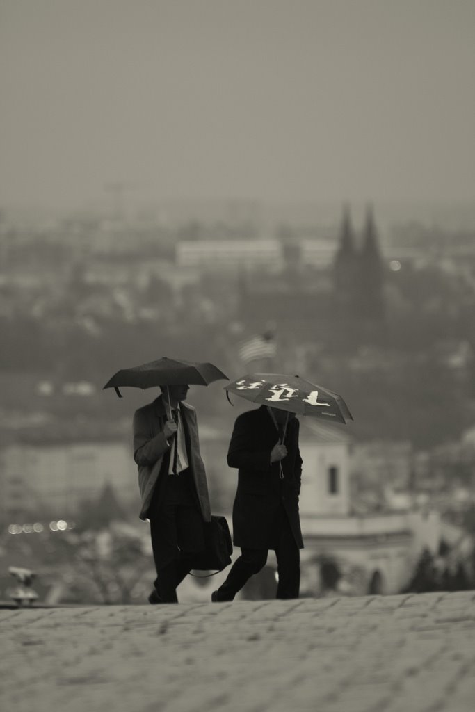 gentlemans
---------
 (  ,      )
